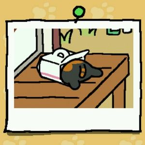 Meet your Posher, Dominique